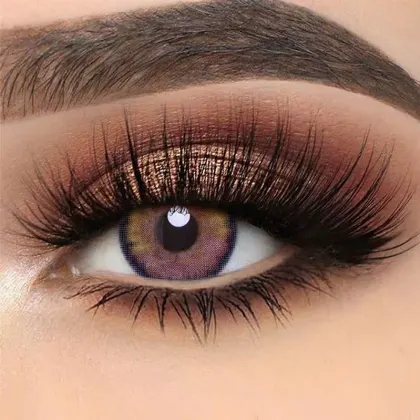 EyeLensy Dolly Purple | 1 Year