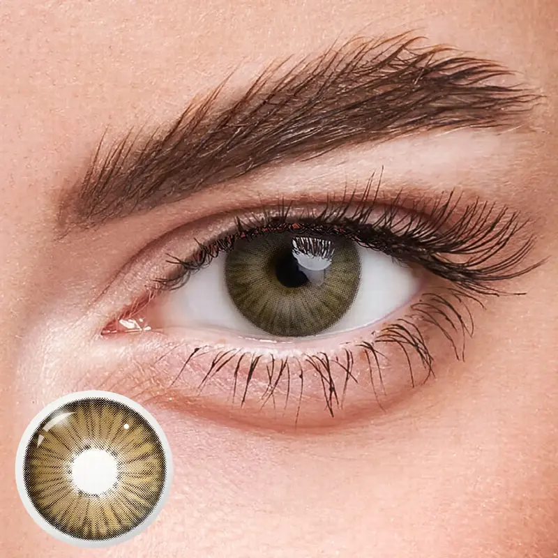 EyeLensy New York II Grey Brown  | 1 Year