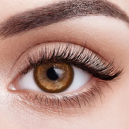EyeLensy Thermo Aura Brown | 1 Year