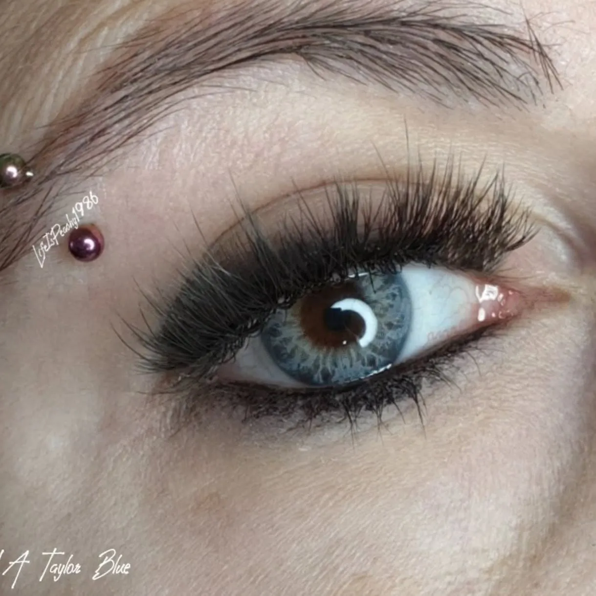 EyeLensy DNA Taylor Blue | 1 Year