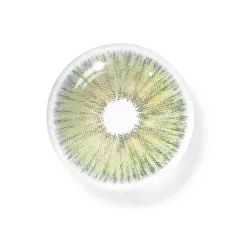 EyeLensy Angeles N Green | 1 Year
