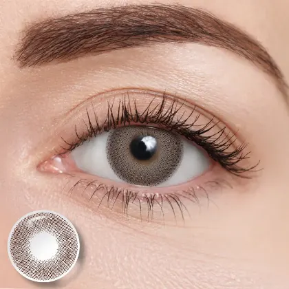 EyeLensy Queen Chocolate | 1 Year